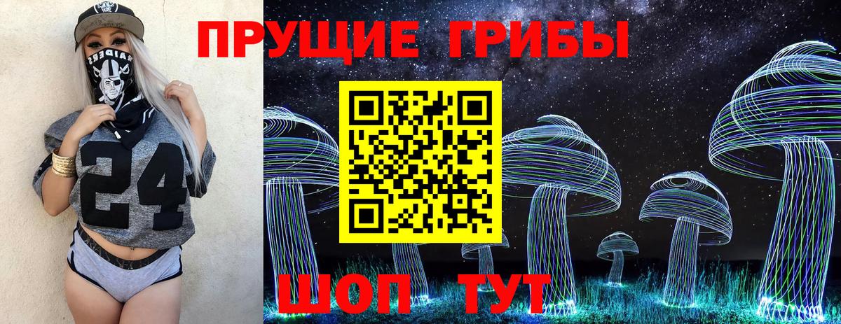 Галлюциногенные грибы MAGIC MUSHROOMS  Вход с VPN  Скопин 