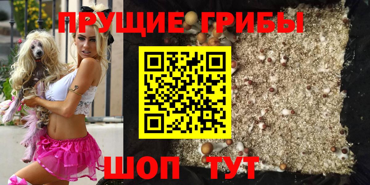 Псилоцибиновые грибы MAGIC MUSHROOMS Скопин